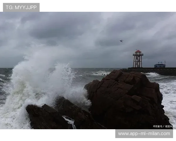 “海岸线飙风：沿海高速的视觉震撼”，海岸线100公里