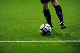 MILANSPORT下载-篮球运动员专项体能训练负荷监控与恢复技术研究，篮球运动训练负荷分析