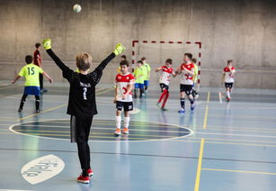 MILANSPORT入口-高校学生体育锻炼动机及影响因素研究，高校大学生体育锻炼需求状况