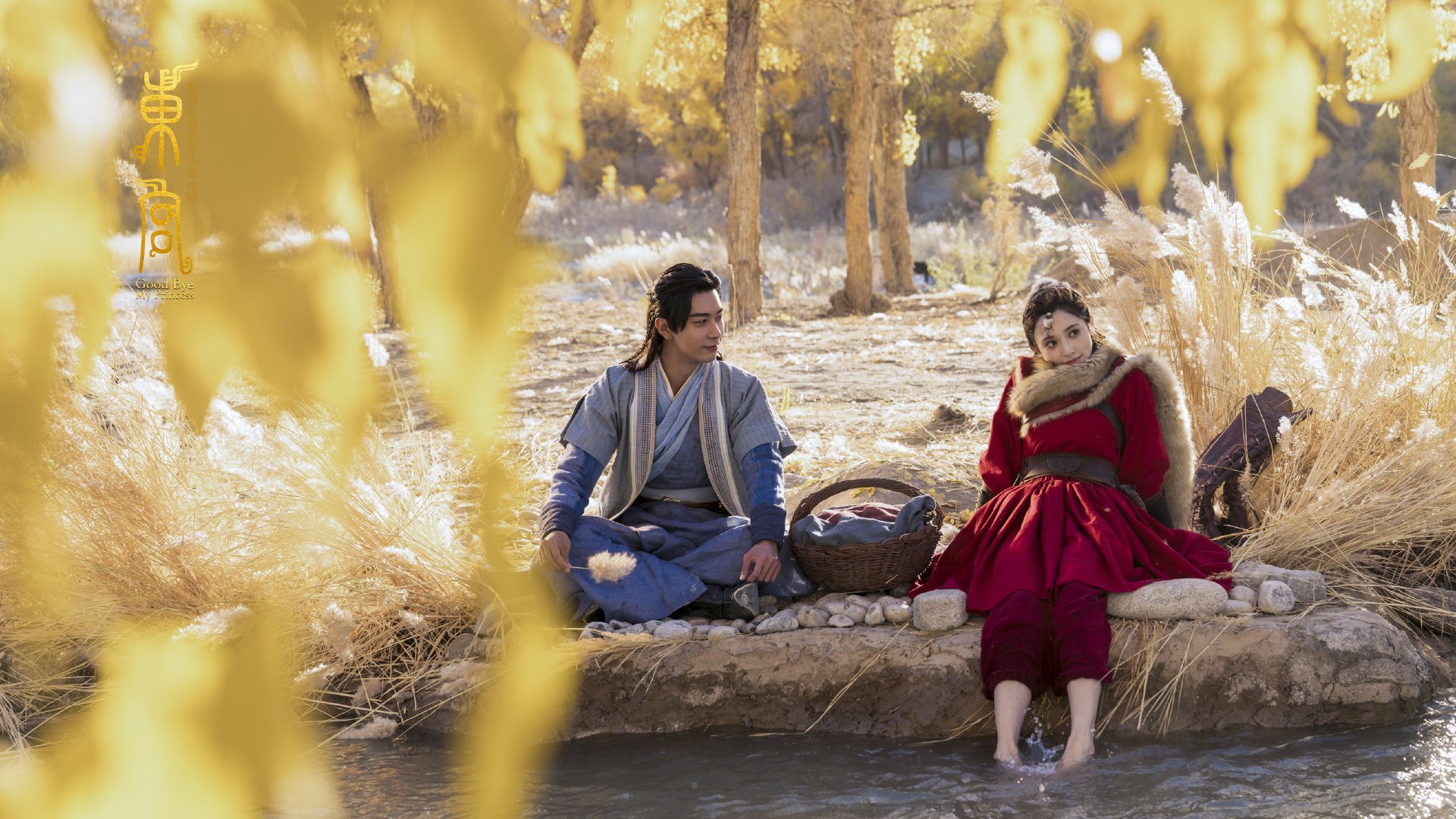 “高新体育中心羽毛球:速度与精准的完美碰撞”