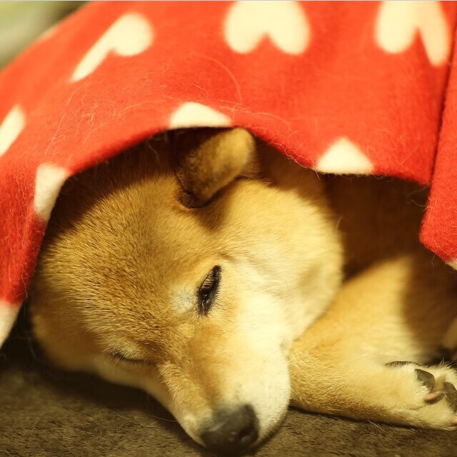 Milan Sports-五大联赛传球成功率是否随对手防线压迫强度成反比，五大联赛用球