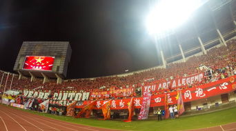 Milan Sports-场馆设施翻新完成比赛场地改造计划推进，场馆设计方案