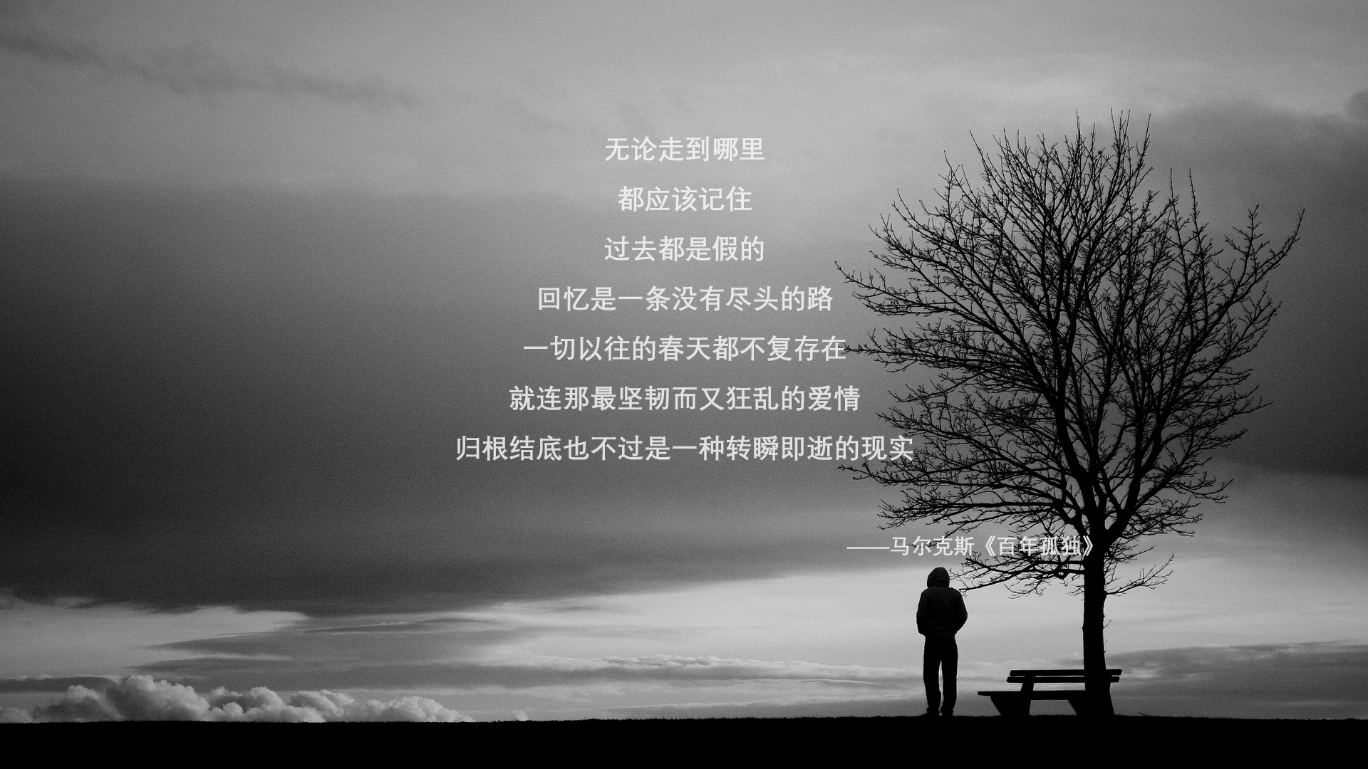 澳大利亚队团体赛制的创新与突破:如何提升赛场表现,澳大利亚战队