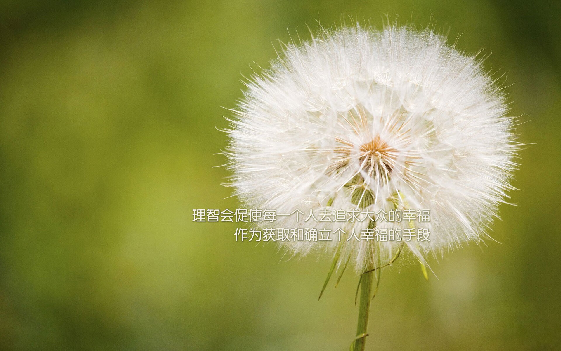 -蝶泳节奏重心：中国后移，美国前移，蝶泳动作分解