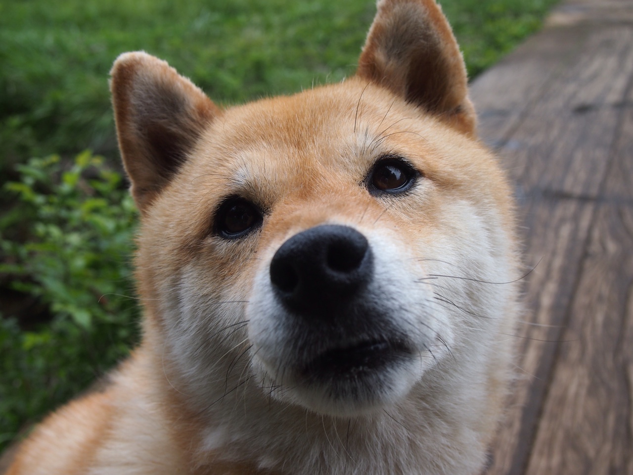 该项目配速策略调整成效明显,该项目配速策略调整成效明显的原因