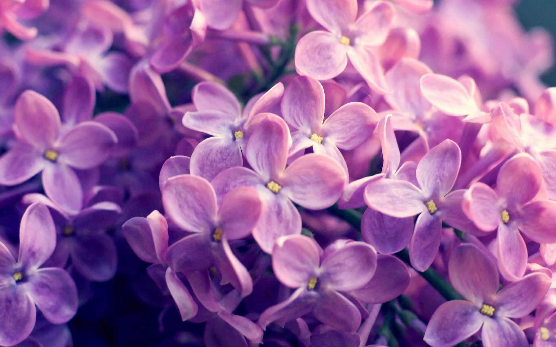 青训教练水平提升的关键因素,青训教练水平提升的关键因素是什么