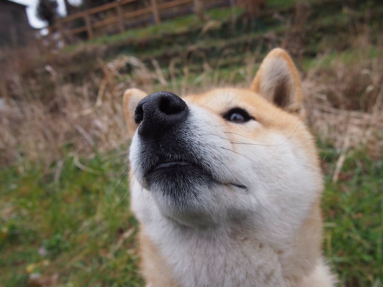 -中国篮球推动篮球文化与教育结合丰富群众活动，弘扬篮球文化
