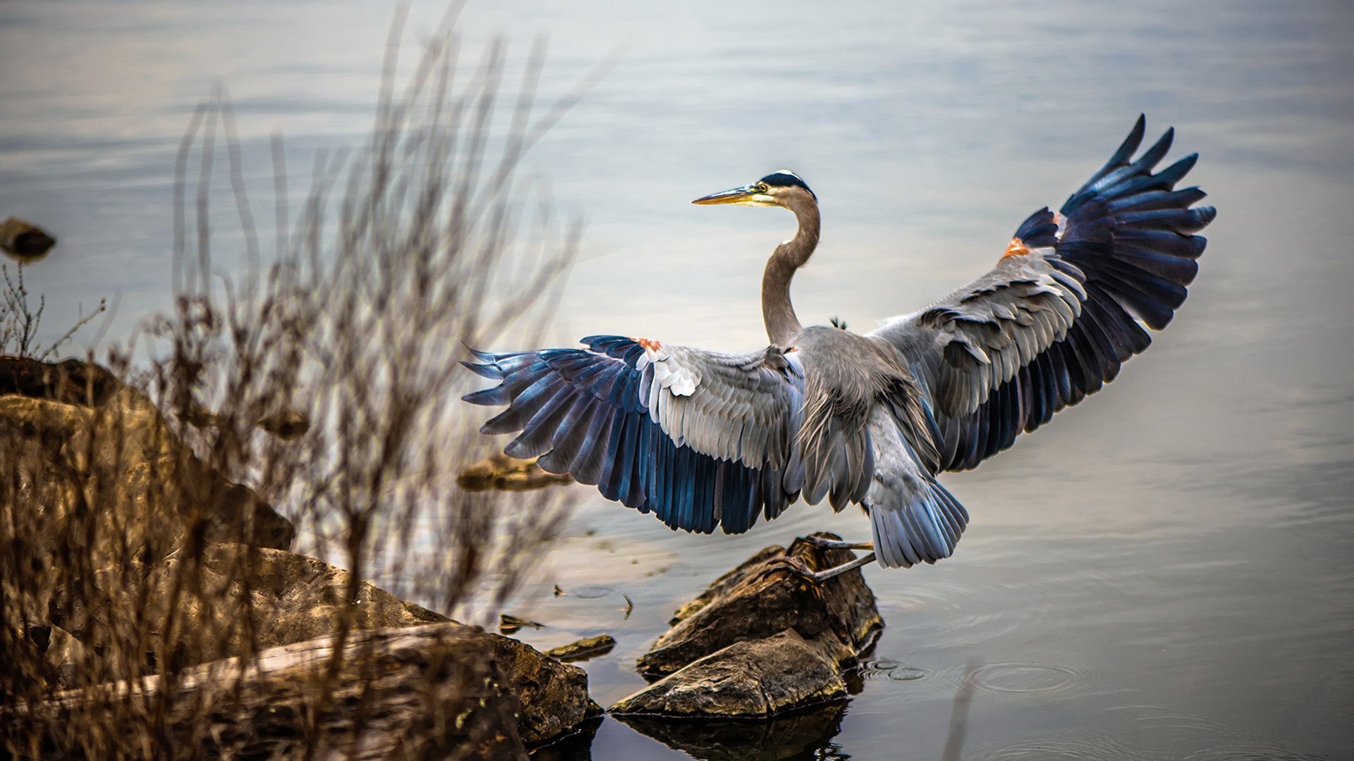中国足球裁判员国际交流活动成功举办,中国足球协会裁判员