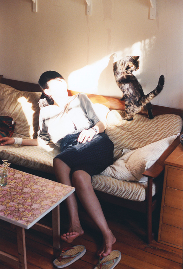 南非羚羊队:以严格的战术执行和精确的配合,统治全场,非洲羚羊种类大全