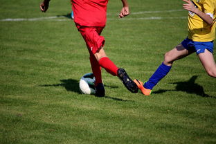 Milan Sports-国家女篮训练日程公开每日训练内容紧张高效，国家队女篮在哪里训练