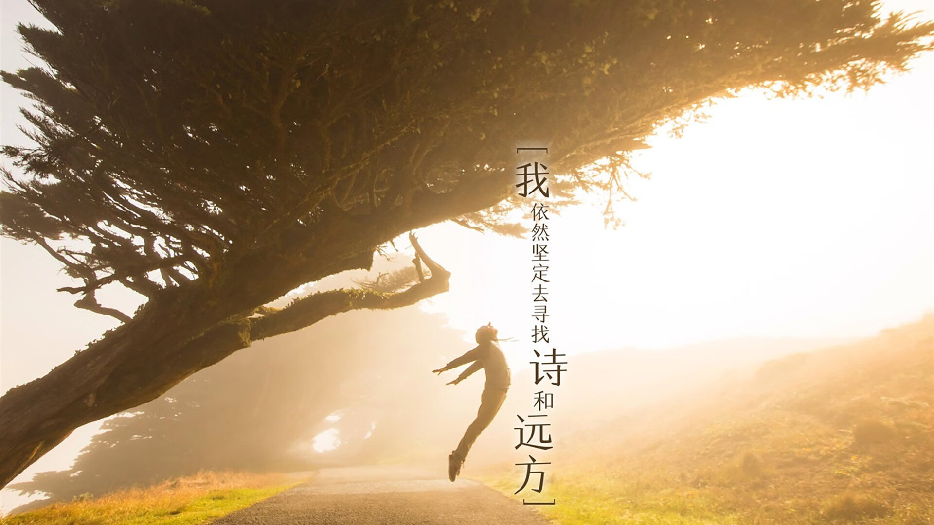 国际橄榄球节英格兰表现亮眼,橄榄球 英国