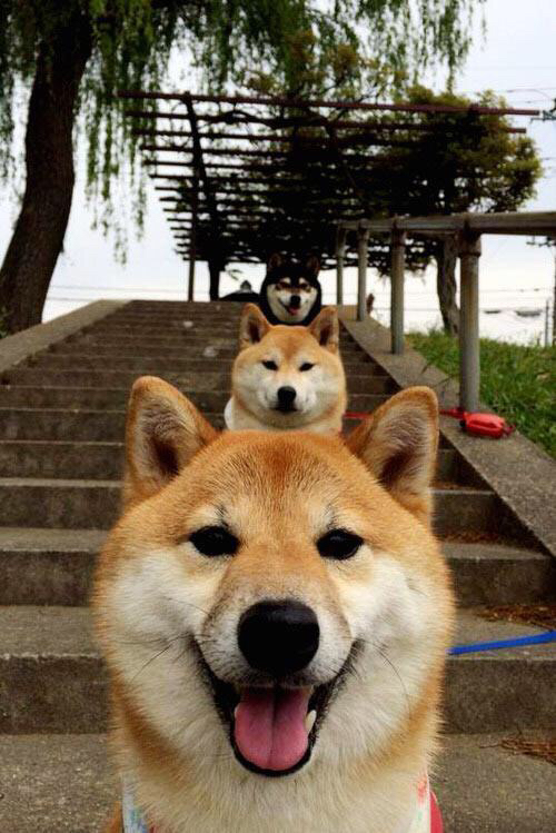 女子篮球三对三国家队进行封闭训练,女子三对三篮球中国队名单