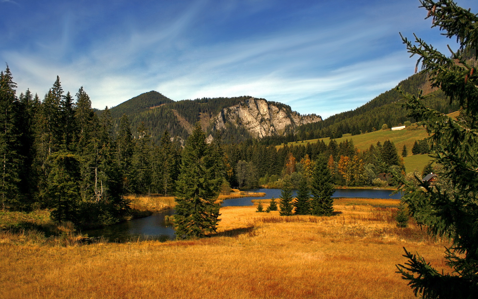 赛季最佳新秀评选,观察家预测热门人选,上赛季最佳新秀是谁