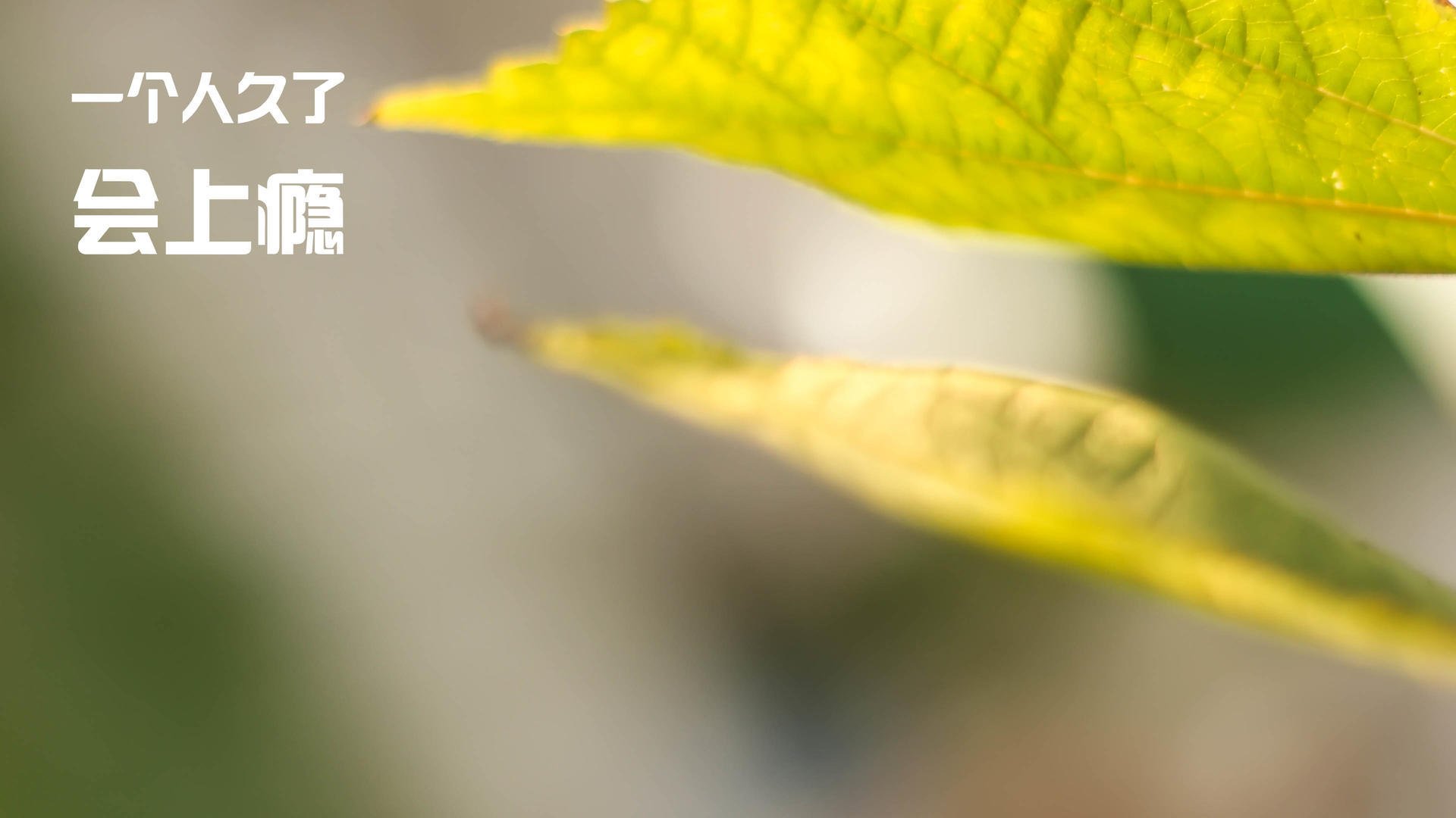 米兰体育APP-足球运动员公益津贴项目帮助解决青少年体育经费不足问题，青少年足球培训 国家补贴